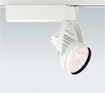 ƣ ENDO LED ݥåȥ饤 ERS3894W