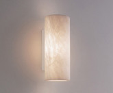 ƣ ENDO LED ֥饱å XRB1005N