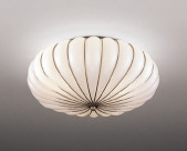 ƣ ENDO LED  XRG4006M