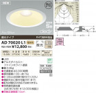 �������߾��� KOIZUMI LED�ⵤ̩������饤�� AD70020L1