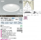 �������߾��� KOIZUMI LED�ⵤ̩������饤�� AD70021L1
