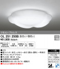 ODELIC ǥå 󥰥饤 OL251250B