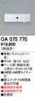 ODELIC ǥå  OA075770