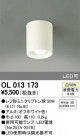 ODELIC ǥå 󥰥饤 OL013173