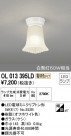 ODELIC ǥå 󥰥饤 OL013395LD