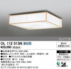 ODELIC ǥå 󥰥饤 OL112513N