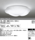 ODELIC ǥå 󥰥饤 OL251250