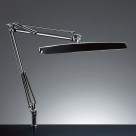 ľǥɡZ-LIGHTZ-999Båȥ饤ȡ꡼