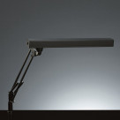 ľǥɡZ-LIGHTZ-704Båȥ饤ȡ꡼