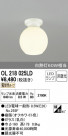 ODELIC ǥå 󥰥饤 OL218025LD