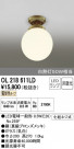 ODELIC ǥå 󥰥饤 OL218611LD