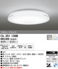 ODELIC �����ǥ�å� ������󥰥饤�� OL251139B