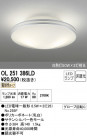 ODELIC ǥå 󥰥饤 OL251386LD