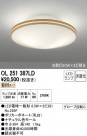 ODELIC ǥå 󥰥饤 OL251387LD
