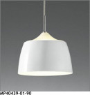 �ޥå����쥤 MAXRAY LED �ڥ����� MP40439-01-90