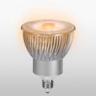 饤ƥ USHIOLIGHTING LED  LDR5L-W-E11/D/22/5/30