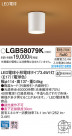 PANASONIC ѥʥ˥å 󥰥饤 LGB58079K