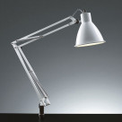 ľ ǥ Z-LIGHT Z-00LEDW