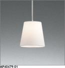 �ޥå����쥤 MAXRAY LED�ڥ����� MP40479-01