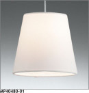 �ޥå����쥤 MAXRAY LED�ڥ����� MP40480-01