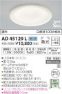�������߾��� KOIZUMI LED �ⵤ̩������饤�� AD45129L