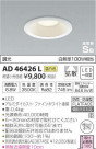 �������߾��� KOIZUMI LED �ⵤ̩������饤�� AD46426L