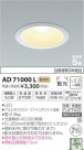 �������߾��� KOIZUMI LED ������饤�� AD71000L