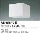 ߾ KOIZUMI  AE45849E