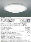 ߾ KOIZUMI LED  AH42854L