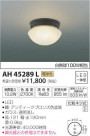 �������߾��� KOIZUMI LED ����������� AH45289L