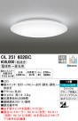 ODELIC ǥå LED 󥰥饤 OL251602BC