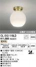ODELIC ǥå 󥰥饤 OL013119LD