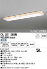 ODELIC �����ǥ�å� ������󥰥饤�� OL251582N