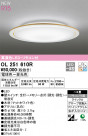 ODELIC ǥå 󥰥饤 OL251610R