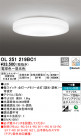 ODELIC �����ǥ�å� ������󥰥饤�� OL251219BC1