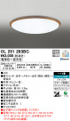 ODELIC ǥå 󥰥饤 OL251263BC