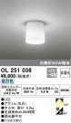 ODELIC ǥå 󥰥饤 OL251036