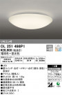 ODELIC �����ǥ�å� ������󥰥饤�� OL251498P1