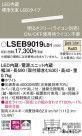Panasonic ۲ LSEB9019LB1