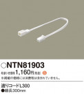 Panasonic ¾° NTN81903