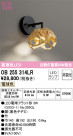 ODELIC ǥå ֥饱å OB255314LR