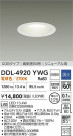 DAIKO ����ŵ� ������饤��(��������) DDL-4920YWG