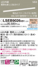 Panasonic ۲ LSEB9026XB1