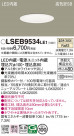 Panasonic ������饤�� LSEB9534LE1