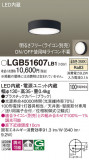 Panasonic ������󥰥饤�� LGB51607LB1�þ��ʾҲ�þ��������̿����䡦����ƥꥢ���������Ρڥ饤�ȥ��������