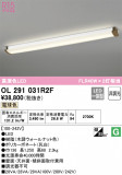 ODELIC �����ǥ�å� ���å���饤�� OL291031R2F�þ��ʾҲ�þ��������̿����䡦����ƥꥢ���������Ρڥ饤�ȥ��������