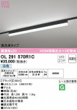 ODELIC �����ǥ�å� �١����饤�� OL291570R1C�þ��ʾҲ�þ��������̿����䡦����ƥꥢ���������Ρڥ饤�ȥ��������