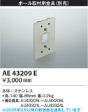 Koizumi ߾ ն AE43209EþʾҲþ̿䡦ƥꥢΡڥ饤ȥ