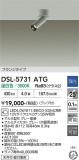 DAIKO ����ŵ� ���ݥåȥ饤�� DSL-5731ATG�þ��ʾҲ�þ��������̿����䡦����ƥꥢ���������Ρڥ饤�ȥ��������