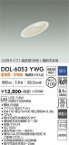 DAIKO ����ŵ� ������饤�� DDL-6053YWG�þ��ʾҲ�þ��������̿����䡦����ƥꥢ���������Ρڥ饤�ȥ��������